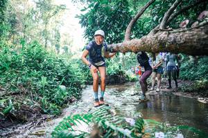 BIB: 
                            <button type="button" onclick="openModal(25449168)" class="btn btn-primary btn-sm float-right btn-popup" data-toggle="modal" data-target=".modal-high-quality">
                        <i class="fas fa-shopping-cart"></i> Add to Cart
                    </button>
                                            <button type="button" onclick="isThisMe(25449168, true)" class="btn btn-success btn-sm float-right btn-popup btn-isme hidden" data-toggle="tooltip" data-placement="bottom" title="นี่คือรูปของคุณใช่ไหม คลิกที่นี่เพื่อเอาเข้าอัลบั้ม">
                        <i class="fas fa-plus"></i> Add to album
                    </button>
                    <button type="button" onclick="isThisMe(25449168, false)" class="btn btn-warning btn-sm float-right btn-popup btn-isnotme hidden">
                        <i class="fas fa-ban"></i> Remove from album
                    </button>